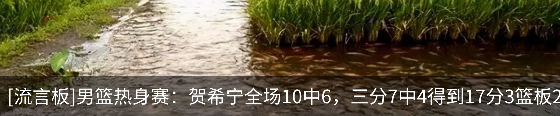 内页banner